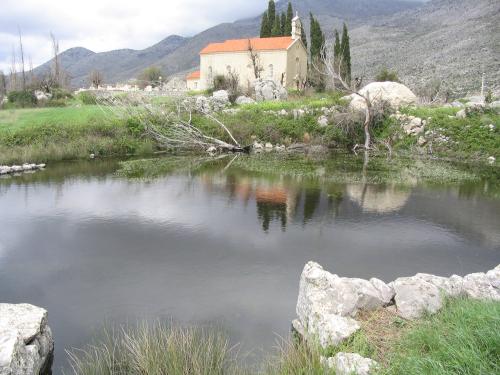 A locality of M. rivulata in southern Dalmatia